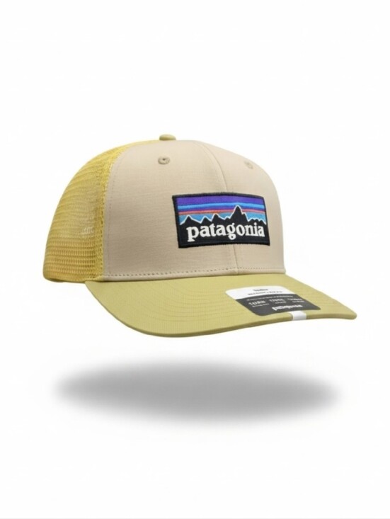 Patagonia Other - PATAGONIA P-6 LOGO TRUCKER HAT - OAR TAN